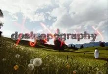 landscapes typography penguins artwork dandelions desktopography 1600x1200 wallpaper Art HD Wallpaper